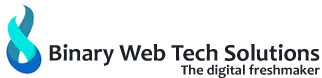 Binary Web Tech Solutions - logo